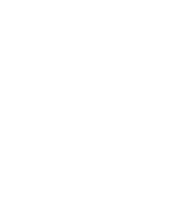 Tundra Logo